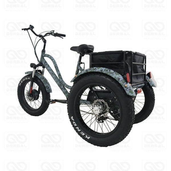 Fat Tire Tricycles for Resorts Hotels Supply