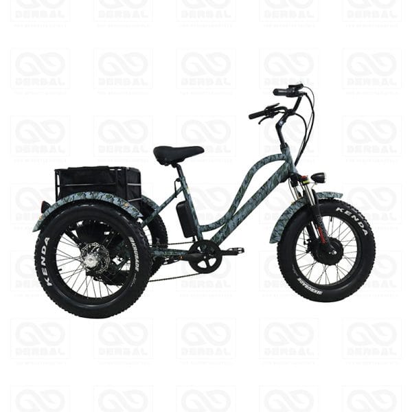 Fat Tire Tricycles for Resorts Hotels Supply