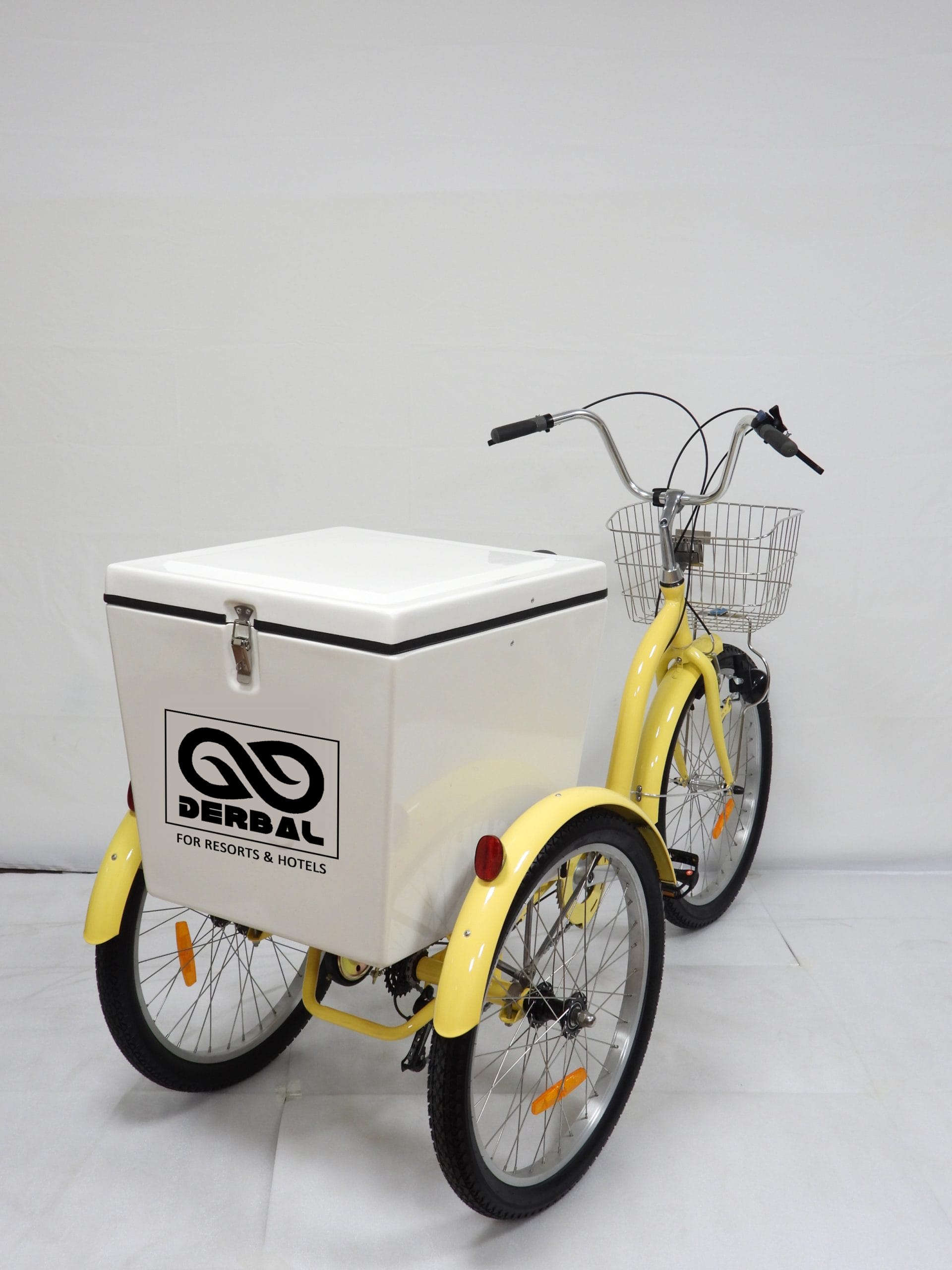 26 Inch Housekeeping Tricycle