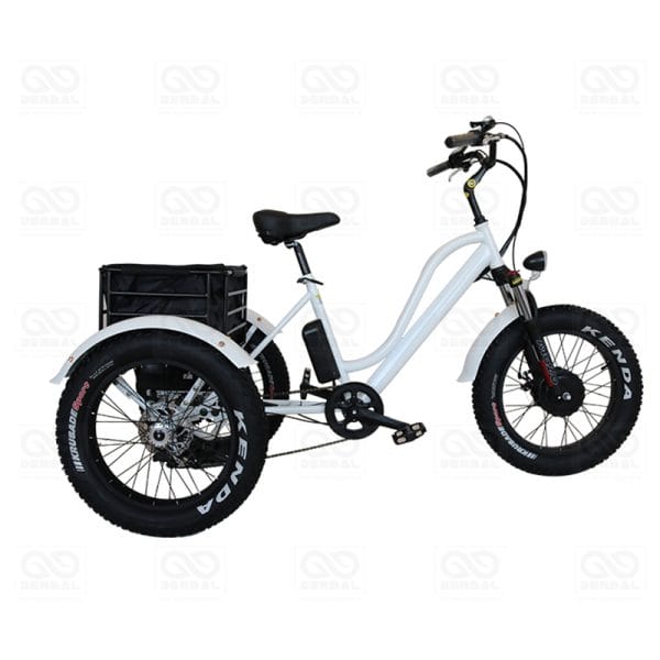 XFT-201 DERBAL E-TRICYCLE FOR RESORT HOUSEKEEPING
