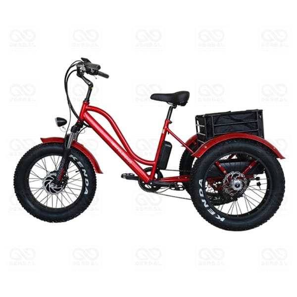 DERBAL E-TRICYCLE FOR RESORT HOUSEKEEPING