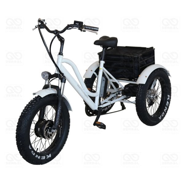 DERBAL E-TRICYCLE FOR RESORT HOUSEKEEPING