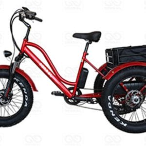 DERBAL E-TRICYCLE FOR RESORT HOUSEKEEPING