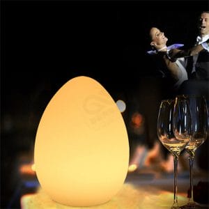 LED Table Lamp Egg Shape Dining Lamp