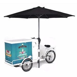 Commercial Street Cargo Bike with Fridge Freezer Bicycle Ice Cream Vending Cart Electric Tricycles for Sale