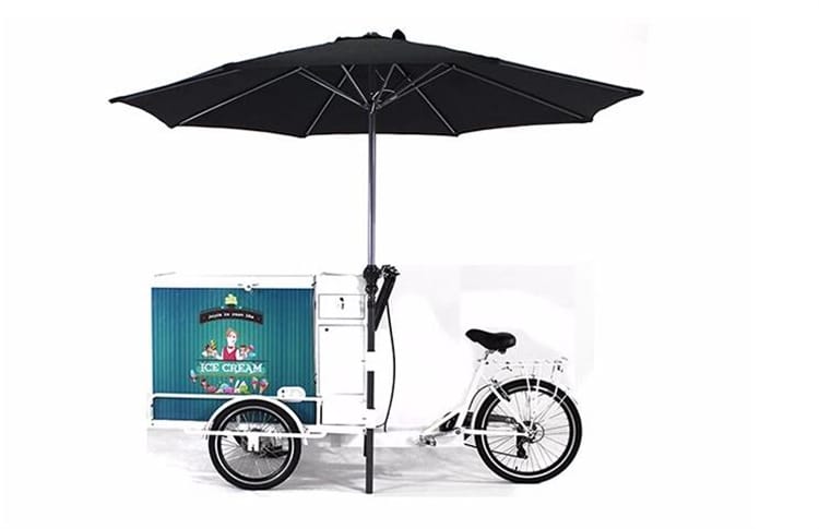 Commercial Street Cargo Bike with Fridge Freezer Bicycle Ice Cream Vending Cart Electric Tricycles for Sale