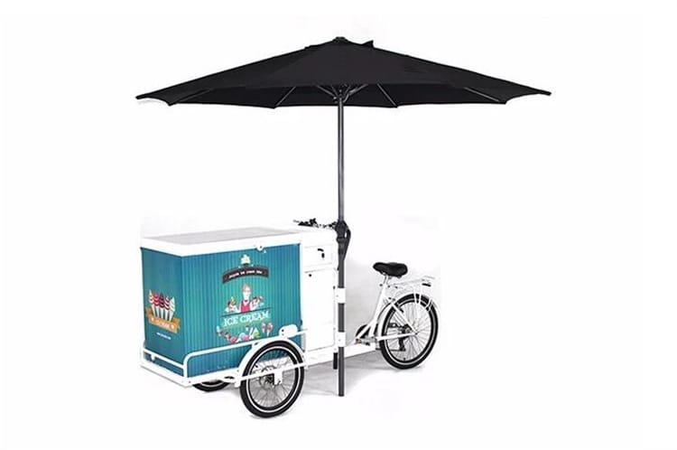 Commercial Street Cargo Bike with Fridge Freezer Bicycle Ice Cream Vending Cart Electric Tricycles for Sale