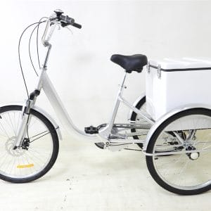 Island Hotel Housekeeping Tricycle