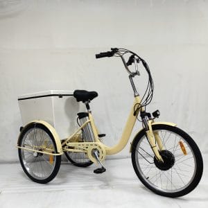 Derbal E Tricycle For Hotels Housekeeping Tricycle Manufacturer 6