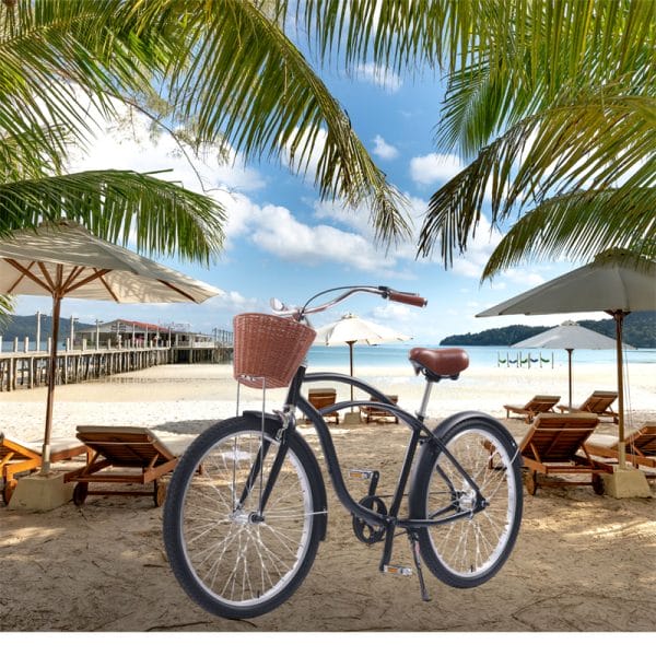 Derbal Beach Cruiser Bike AntiRust Bicycles