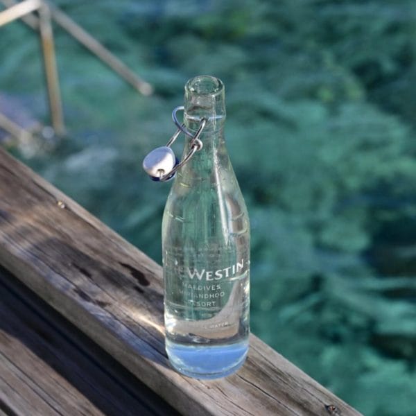 Clip Cap Glass Water Bottle