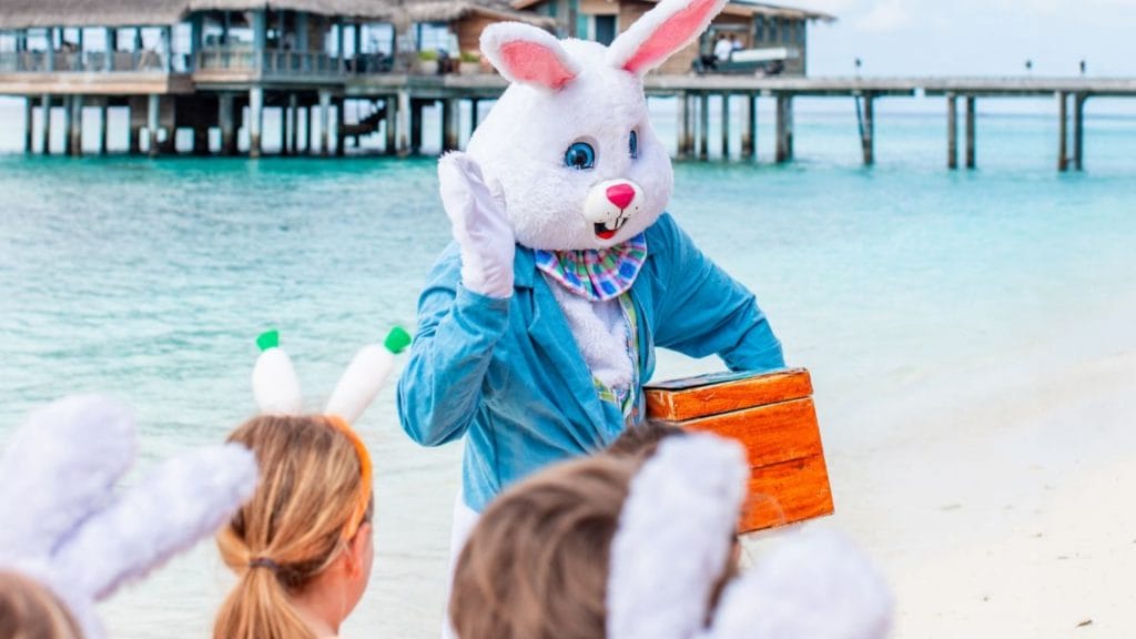 Bunny Costumes