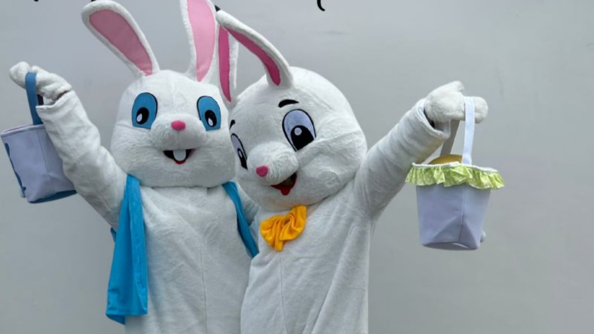 Easter Bunny Costume