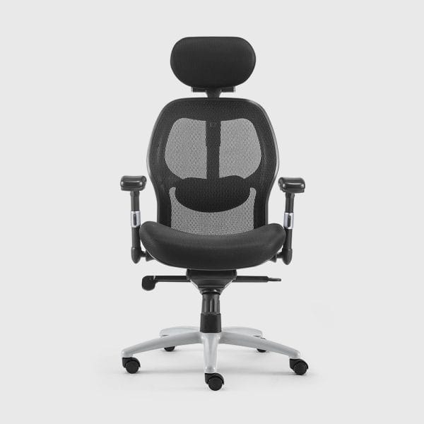 Ergonomic Office Chair Side View – Lumbar Support Adjustment