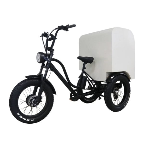 Anantara Veli Maldives Staff Delivering Linens via DERBAL Tricycle