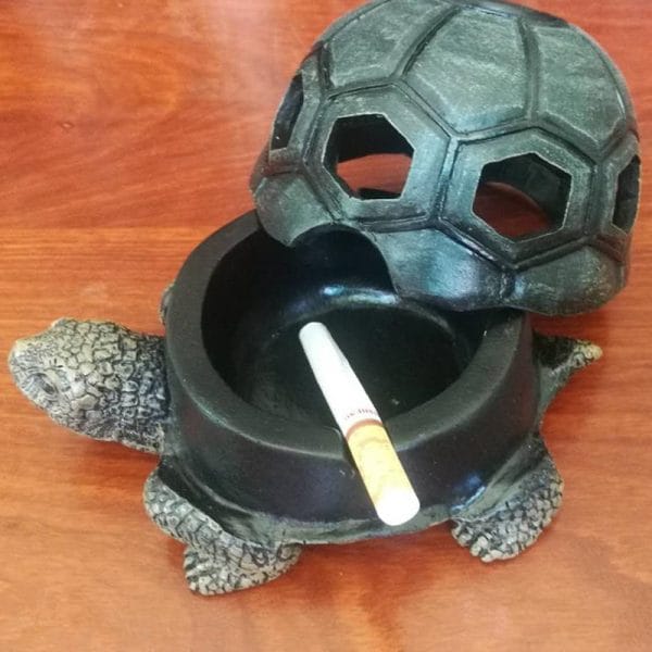 Hotel Turtle Ashtray on White Marble Countertop in Dubai Luxury Hotel