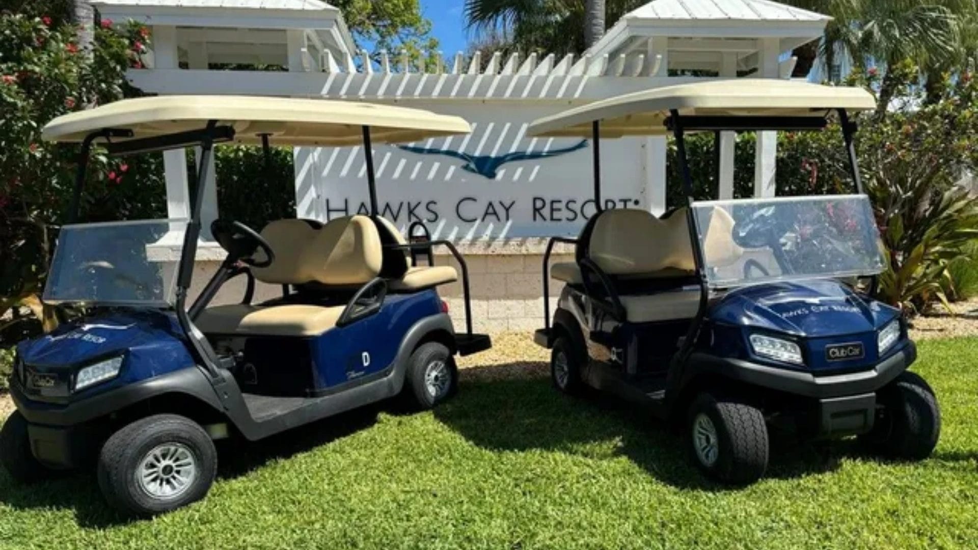 Golf Cart