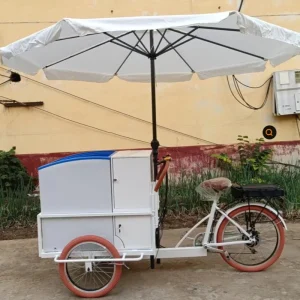 Hotel Ice Cream Cart Bike with Fridge