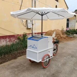 Hotel Ice Cream Cart Bike with Fridge-DERBAL