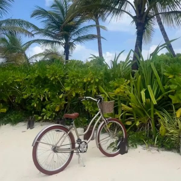 Rust Fighting Bike Beach Cruiser Bikes parked outside a luxury overwater resort villa.