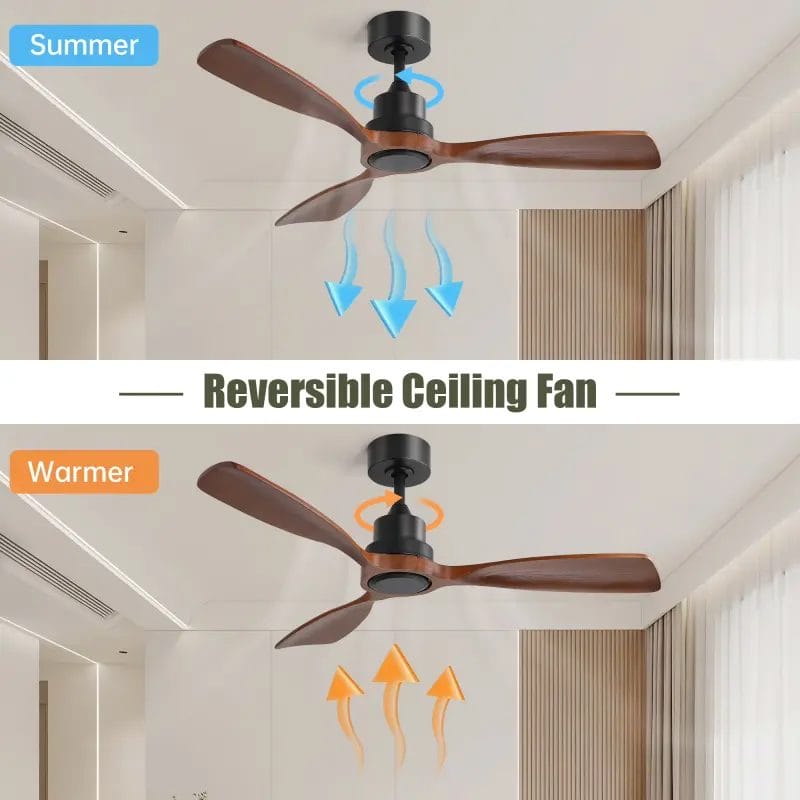 Whisper-quiet brushless DC motor assembly inside a premium Wooden Ceiling Fan.